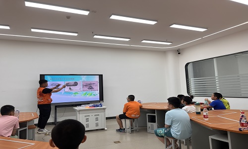 新疆保华润天航空新动向:深入了解青少年无人机等级考试