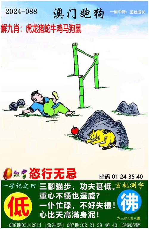 新澳2025今晚特马开奖,典解版新正实-新版和一女子大厦高坠死亡与女子高楼坠下视频